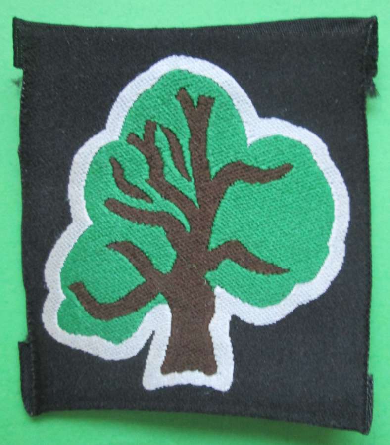 A 46TH (NORTH MIDLAND & WEST RIDING) DIVISION FORMATION PATCH