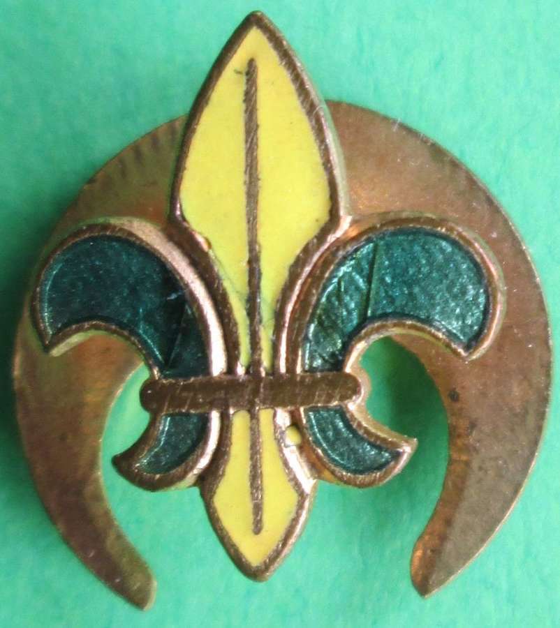 A BOY SCOUTS GREEN AND YELLOW LAPEL BADGE