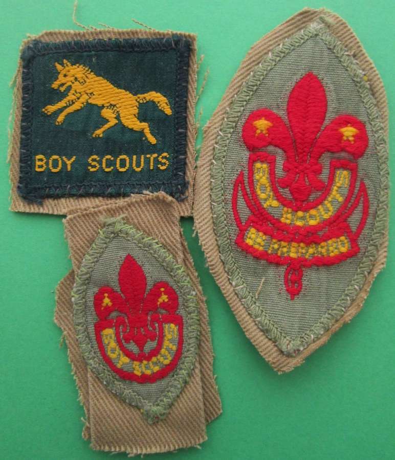 SMALL GROUP OF BOY SCOUT BADGES