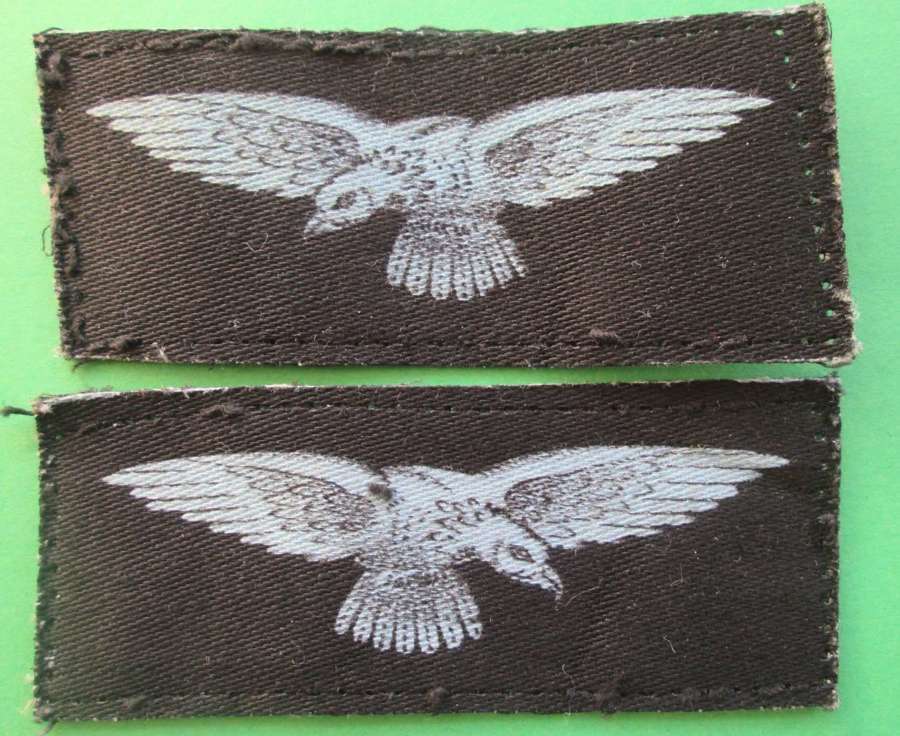 A PAIR OF WWII RAF ARM ALBATROSS/EAGLES