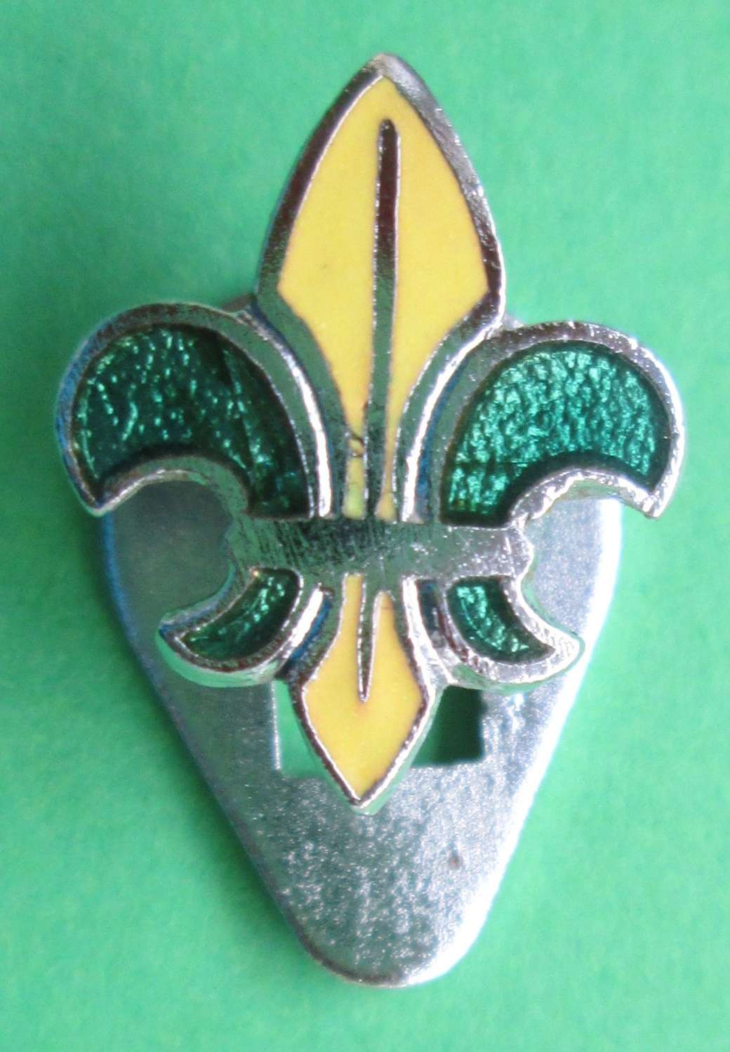 BOY SCOUTS GREEN AND YELLOW LAPEL BADGE