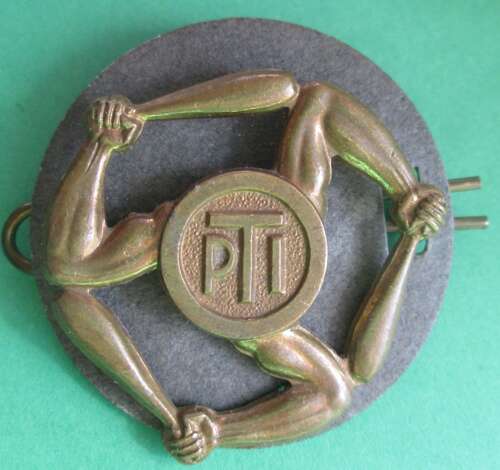 A Royal Air Force Physical Instructors badge with backing card and pin